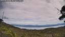 ./images/calvert/fitz-hugh-hecate/20250728/fitz-hugh-hecate20250728_131010M.jpg