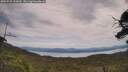 ./images/calvert/fitz-hugh-hecate/20250728/fitz-hugh-hecate20250728_132010M.jpg