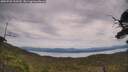 ./images/calvert/fitz-hugh-hecate/20250728/fitz-hugh-hecate20250728_133510M.jpg