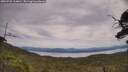 ./images/calvert/fitz-hugh-hecate/20250728/fitz-hugh-hecate20250728_134010M.jpg