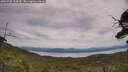 ./images/calvert/fitz-hugh-hecate/20250728/fitz-hugh-hecate20250728_134510M.jpg
