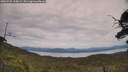 ./images/calvert/fitz-hugh-hecate/20250728/fitz-hugh-hecate20250728_135009M.jpg
