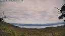 ./images/calvert/fitz-hugh-hecate/20250728/fitz-hugh-hecate20250728_135510M.jpg