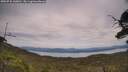./images/calvert/fitz-hugh-hecate/20250728/fitz-hugh-hecate20250728_140011M.jpg