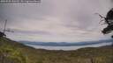 ./images/calvert/fitz-hugh-hecate/20250728/fitz-hugh-hecate20250728_140510M.jpg