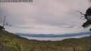 ./images/calvert/fitz-hugh-hecate/20250728/fitz-hugh-hecate20250728_141509M.jpg