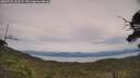 ./images/calvert/fitz-hugh-hecate/20250728/fitz-hugh-hecate20250728_142509M.jpg