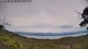 ./images/calvert/fitz-hugh-hecate/20250728/fitz-hugh-hecate20250728_143510M.jpg
