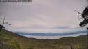 ./images/calvert/fitz-hugh-hecate/20250728/fitz-hugh-hecate20250728_144010M.jpg