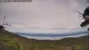 ./images/calvert/fitz-hugh-hecate/20250728/fitz-hugh-hecate20250728_144511M.jpg
