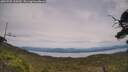./images/calvert/fitz-hugh-hecate/20250728/fitz-hugh-hecate20250728_145009M.jpg