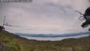 ./images/calvert/fitz-hugh-hecate/20250728/fitz-hugh-hecate20250728_145509M.jpg