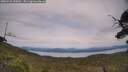 ./images/calvert/fitz-hugh-hecate/20250728/fitz-hugh-hecate20250728_150011M.jpg