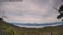 ./images/calvert/fitz-hugh-hecate/20250728/fitz-hugh-hecate20250728_150509M.jpg