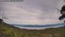 ./images/calvert/fitz-hugh-hecate/20250728/fitz-hugh-hecate20250728_151009M.jpg