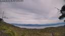 ./images/calvert/fitz-hugh-hecate/20250728/fitz-hugh-hecate20250728_151510M.jpg