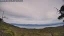 ./images/calvert/fitz-hugh-hecate/20250728/fitz-hugh-hecate20250728_152509M.jpg