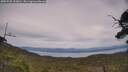 ./images/calvert/fitz-hugh-hecate/20250728/fitz-hugh-hecate20250728_153010M.jpg
