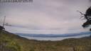 ./images/calvert/fitz-hugh-hecate/20250728/fitz-hugh-hecate20250728_153508M.jpg