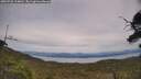 ./images/calvert/fitz-hugh-hecate/20250728/fitz-hugh-hecate20250728_154010M.jpg