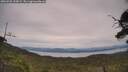 ./images/calvert/fitz-hugh-hecate/20250728/fitz-hugh-hecate20250728_155009M.jpg