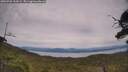 ./images/calvert/fitz-hugh-hecate/20250728/fitz-hugh-hecate20250728_160509M.jpg