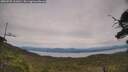 ./images/calvert/fitz-hugh-hecate/20250728/fitz-hugh-hecate20250728_161010M.jpg