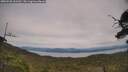 ./images/calvert/fitz-hugh-hecate/20250728/fitz-hugh-hecate20250728_161512M.jpg