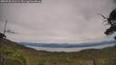 ./images/calvert/fitz-hugh-hecate/20250728/fitz-hugh-hecate20250728_162509M.jpg