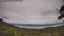 ./images/calvert/fitz-hugh-hecate/20250728/fitz-hugh-hecate20250728_163509M.jpg