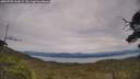 ./images/calvert/fitz-hugh-hecate/20250728/fitz-hugh-hecate20250728_164009M.jpg