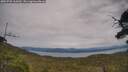 ./images/calvert/fitz-hugh-hecate/20250728/fitz-hugh-hecate20250728_165010M.jpg