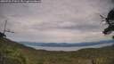 ./images/calvert/fitz-hugh-hecate/20250728/fitz-hugh-hecate20250728_171009M.jpg