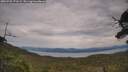 ./images/calvert/fitz-hugh-hecate/20250728/fitz-hugh-hecate20250728_171509M.jpg
