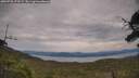 ./images/calvert/fitz-hugh-hecate/20250728/fitz-hugh-hecate20250728_172509M.jpg