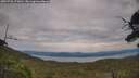 ./images/calvert/fitz-hugh-hecate/20250728/fitz-hugh-hecate20250728_173010M.jpg