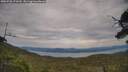 ./images/calvert/fitz-hugh-hecate/20250728/fitz-hugh-hecate20250728_173510M.jpg