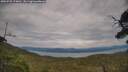 ./images/calvert/fitz-hugh-hecate/20250728/fitz-hugh-hecate20250728_174010M.jpg