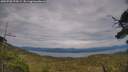 ./images/calvert/fitz-hugh-hecate/20250728/fitz-hugh-hecate20250728_174508M.jpg