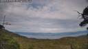 ./images/calvert/fitz-hugh-hecate/20250728/fitz-hugh-hecate20250728_175510M.jpg