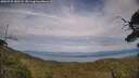 ./images/calvert/fitz-hugh-hecate/20250728/fitz-hugh-hecate20250728_180508M.jpg