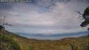 ./images/calvert/fitz-hugh-hecate/20250728/fitz-hugh-hecate20250728_181010M.jpg