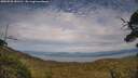 ./images/calvert/fitz-hugh-hecate/20250728/fitz-hugh-hecate20250728_181510M.jpg