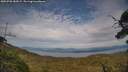 ./images/calvert/fitz-hugh-hecate/20250728/fitz-hugh-hecate20250728_182007M.jpg