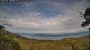 ./images/calvert/fitz-hugh-hecate/20250728/fitz-hugh-hecate20250728_182510M.jpg