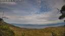 ./images/calvert/fitz-hugh-hecate/20250728/fitz-hugh-hecate20250728_183510M.jpg