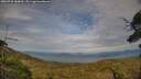 ./images/calvert/fitz-hugh-hecate/20250728/fitz-hugh-hecate20250728_184010M.jpg