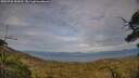 ./images/calvert/fitz-hugh-hecate/20250728/fitz-hugh-hecate20250728_184510M.jpg