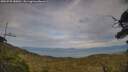 ./images/calvert/fitz-hugh-hecate/20250728/fitz-hugh-hecate20250728_185011M.jpg