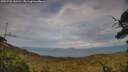 ./images/calvert/fitz-hugh-hecate/20250728/fitz-hugh-hecate20250728_185510M.jpg